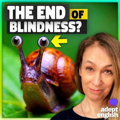 Pointless Tongue vs Amazing Eye: English Listening Ep 824