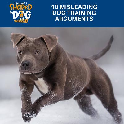 10 Misleading Dog Training Arguments #319 10 Misleading Dog Training Arguments #319