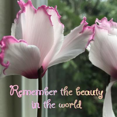 The YOGA Workshop: Rising/Falling The YOGA Workshop: Rising/Falling