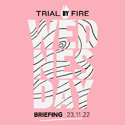 TBF Wednesday Briefing 23.11.22