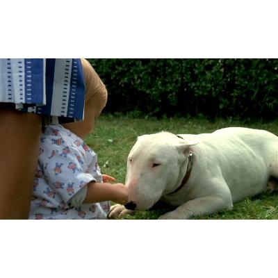 Épisode 03 - "BAXTER" de Jérôme BOIVIN (1989) - Version Intégrale