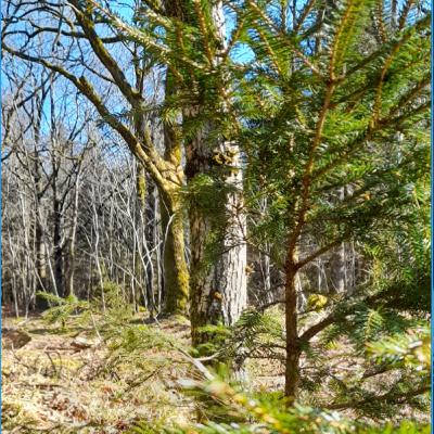 kennet andersen podcast eliminating negativity nr 6 2 dec 2023 nr 622 kennet andersen podcast eliminating negativity nr 6 2 dec 2023 nr 622