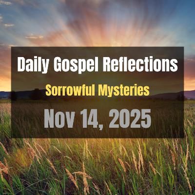 Daily Gospel Reflections for Nov 14, 2025 | Holy Rosary - Sorrowful Mysteries