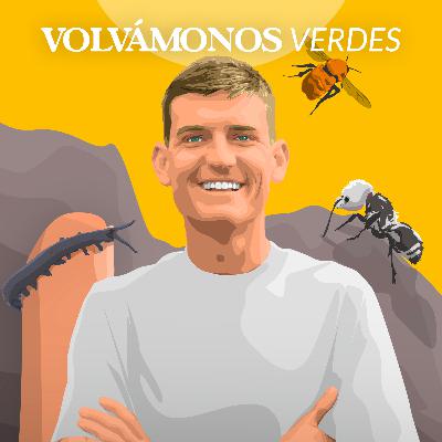 El señor de los bichos | Cristóbal Sprätz | 135 El señor de los bichos | Cristóbal Sprätz | 135