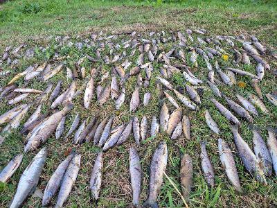 Conor Arnold on the Blackwater investigation and Oireachtas hearing