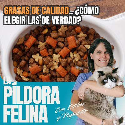 518. GRASAS DE CALIDAD.. ¿cómo elegir las de verdad?