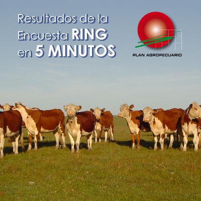 Resultados de la Encuesta RING en 5 minutos