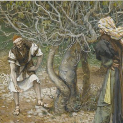 Justice, Mercy, and the Call to Bear Fruit – Homily – 3rd Sunday of Lent (Year C)