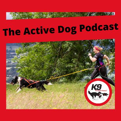 Episode 10: Why canicross isn't just running with your dog