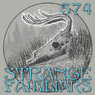 Skulls and Synchronicities at the Witches Grove