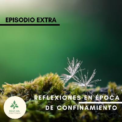 #05 - Reflexiones en época de confinamiento