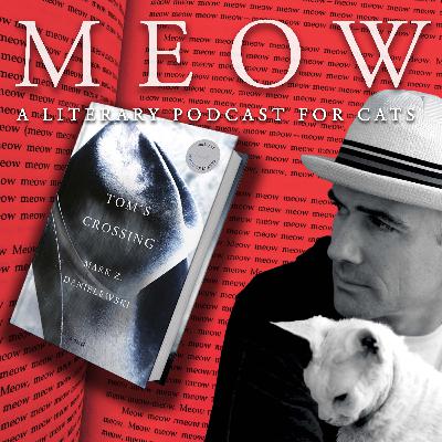 64. Embodied Time: Mark Z. Danielewski's Tom's Crossing and Zoroastrianism