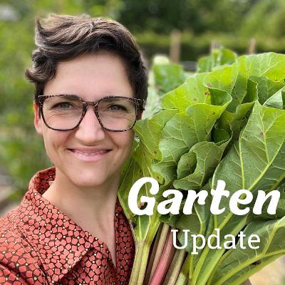 Tomaten - alles rund um Sorten, Anbau und Pflege
