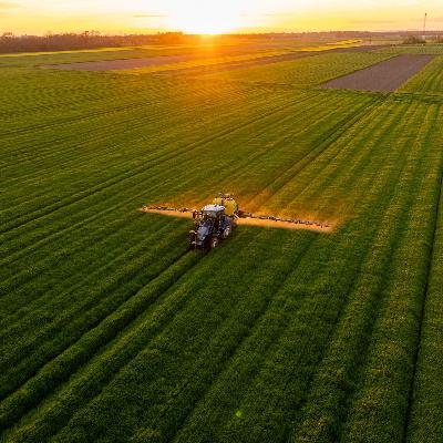 Mundo rural - Sistema de gestión de ayudas