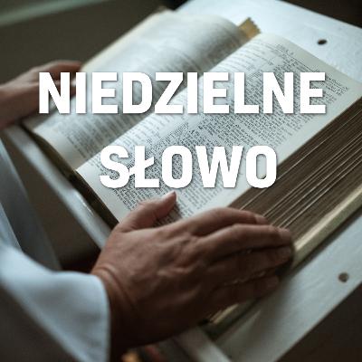 Kazanie 5. Niedziela Zwykła A (08.02.2026)