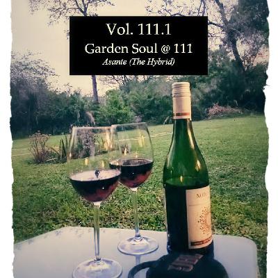 Virtual Session Vol.111.1 (Garden Soul @ 111)
