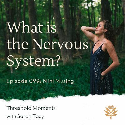 099 - What is the Nervous System?