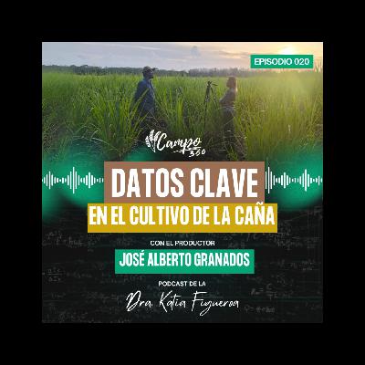 Episodio #20. Datos clave en el cultivo de la caña