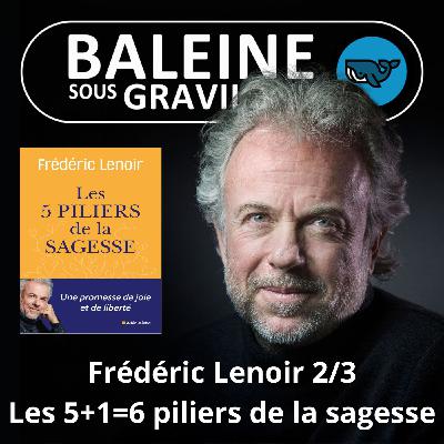 S07E71 Les 5 piliers de la sagesse 2/3 : L'humour, un 6e pilier (Frédéric Lenoir) S07E71 Les 5 piliers de la sagesse 2/3 : L'humour, un 6e pilier (Frédéric Lenoir)