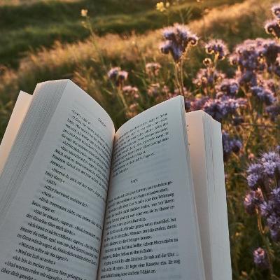 Penyebab Minat Baca Rendah Penyebab Minat Baca Rendah