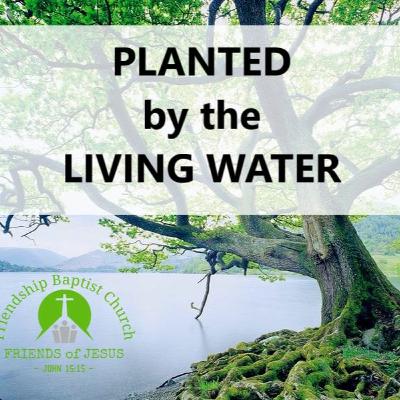 Episode 422 Of PLANTED - Treasuring His Commands (Proverbs 7.1 - 5) Episode 422 Of PLANTED - Treasuring His Commands (Proverbs 7.1 - 5)