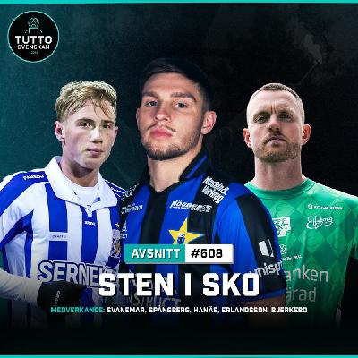 #608 Sten i sko
