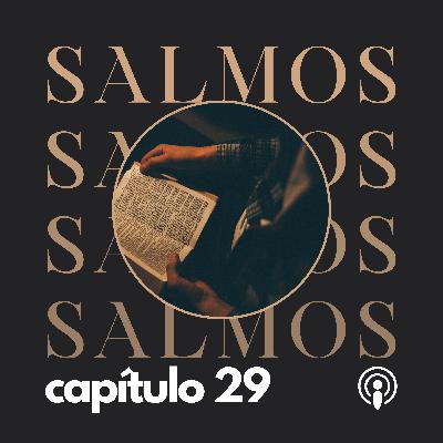SALMO CAP. 29