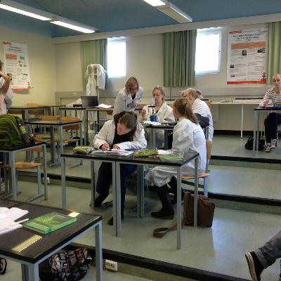 Quality over quantity: Finland vs outdated school systems | André Matos