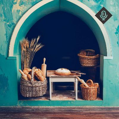 The Yeast Factor The Yeast Factor