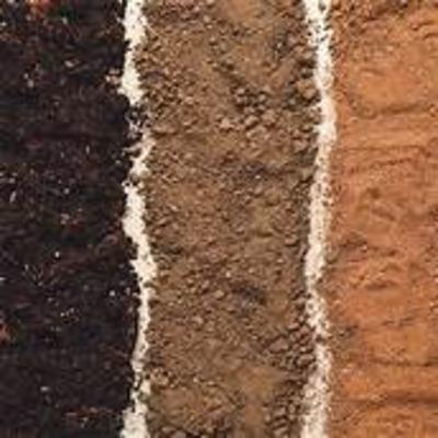 Soil Testing, Compost, & More Soil Testing, Compost, & More