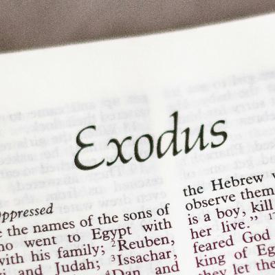 24/11/24 A/Ps Edwin Yapp - Christ Dwelling in Us (Exodus 20, 26-27)