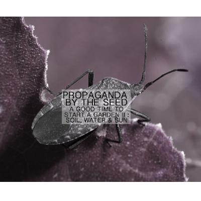 A Good Time To Plant a Garden II: Soil, Water, Sun