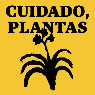 Cuándo y cómo podar árboles | Consejos de poda con Daniel Orduña