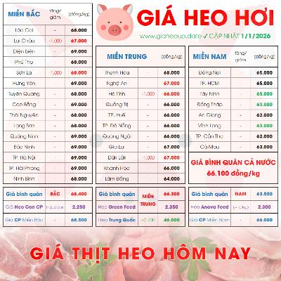 GIÁ HEO HƠI 1/1/2026 ✅ GIÁ THỊT LỢN & TIN TỨC CHĂN NUÔI #GIAHEOHOI #GIATHITHEO #GIAHEOUPDATE