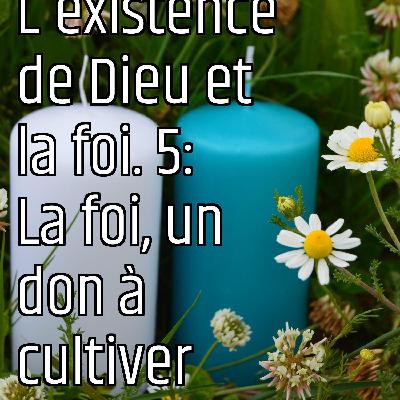 Revenons eux fondamentaux (1) : L'existence de Dieu et la foi. 5: La foi, un don à cultiver