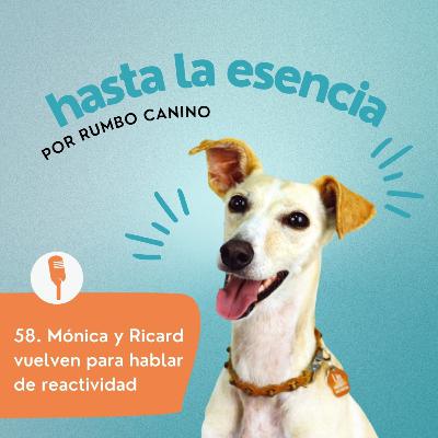 58. Mónica y Ricard vuelven para hablar de reactividad