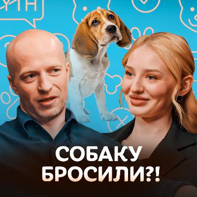 Что будет, если вы оставите собаку чужому человеку? / Догси Подкаст #2