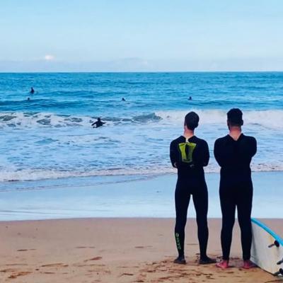 Fonctionnement de l'école de surf et de français