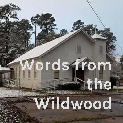 The Big Question The Big Question