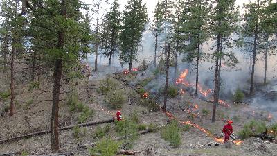 148-Wildfire Coexistence with Lori Daniels