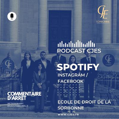 Commentaire d'arrêt - Méthodologie CJES