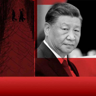 习近平时代：润、躺平、无限制的任期