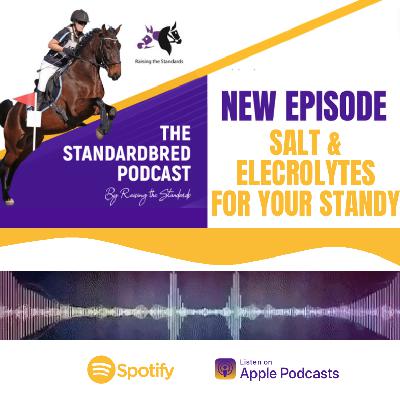 Salt & Electrolytes for your Standardbred