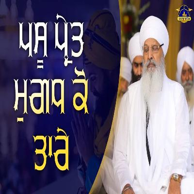 11/03/2026 | PASOO PARAETH MUGADHH KO THAARAE | KIRTAN BABA LAKHBIR SINGH JI | BEHRAM DIWAN |