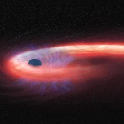 AT2022zod: An Unusual Tidal Disruption Event