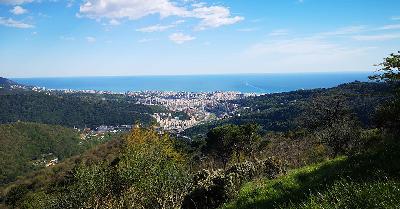 Liguria
