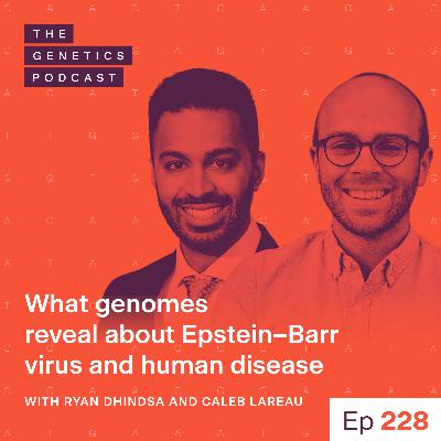 EP 228: What genomes reveal about Epstein–Barr virus and human disease with Ryan Dhindsa and Caleb Lareau