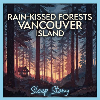 Rain-Kissed Forests Of Vancouver Island | A Calming Sleep Story For Adults