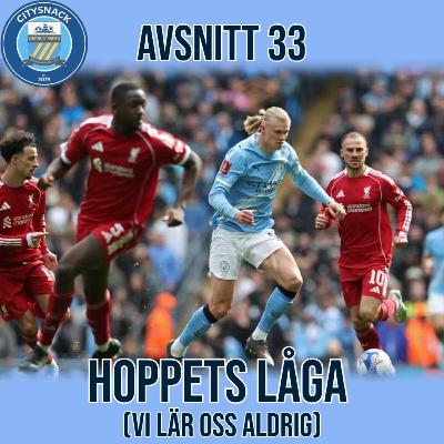 #33 - Hoppets låga