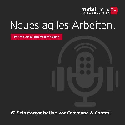 Selbstorganisation vor Command & Control